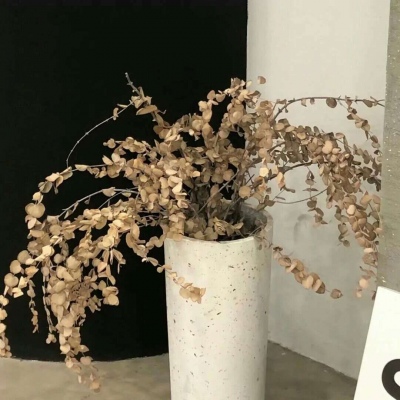 平利福瑞交流群